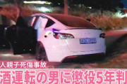 韓国で起きた「飲酒運転の自動車による日本人親子死傷事故」の加害者、懲役5年……遺族は「飲酒運転の刑罰が軽すぎる」「飲酒運転が日常化している」と慟哭