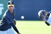 阪神　練習試合で失策の阪神・木浪　早出特守に参加　平田ヘッドらからみっちり指導