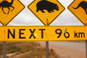 【画像】世界の動物道路標識など