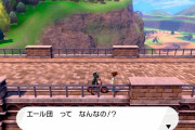 【ポケモン剣盾】ヨロイ島の道場に孵化するための自転車コース欲しいよな、5番道路は橋の上のNPCさえいなくなればなぁ…
