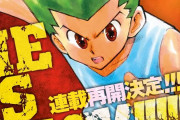 【悲報】HUNTER×HUNTER、計算したところ完結はもう無理だと判明