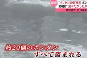 温泉「ボンタン湯やったろ！」→もうめちゃくちゃ