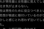 【悲報】フェミ、鉛筆と鉛筆削りを見て吐き気が止まらなくなるｗｗｗｗｗ