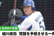 昨年のDeNA細川 通算19打席 ファン「十分にチャンスは与えた。結果を残せない奴は不要」