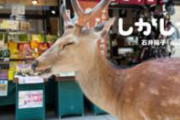 奈良の鹿をなめてはいけない。
