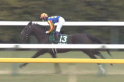 【競馬】藤田菜七子がダイヤモンドステークスで後方ポツンwwwww