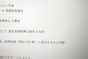 メルヘンワールドPR大使さんが誹謗中傷により弁護士に開示請求の相談をしていると進捗報告