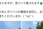 ダイハツさん、なにかを煽る「店の前に生えている木を目印に当店舗へお越しください」