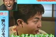林家三平まる見えで“不謹慎ダジャレ”で炎上！  [2/22]