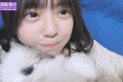 冨里奈央ちゃんが飼ってるイッヌが可愛すぎるんだが！！！【乃木坂46】