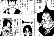 【画像】ドラゴンボールの悟飯、ビーデルに対してド正論を叩きつける