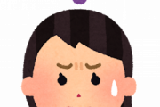 【謎】ワンピースのカイドウさん、なぜかあの行動をしないｗｗｗｗｗ