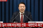 韓国人「ロシア外務省が欧州に『韓国を制裁するのか』と疑問を投げかける」尹大統領の戒厳令に対し欧州を批判　韓国の反応