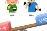 筋トレ民「こまめにタンパク質摂らないと筋肉が分解」医者「遭難して数日食わずでも分解しないぞ」