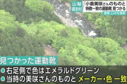 山梨・道志村の山中で運動靴が見つかる　美咲さんの履いていたものとメーカーや色が一致