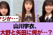 櫻坂46山川宇衣さん、大野と矢田に無視される動画 #櫻坂46 #櫻坂46の家