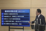 岸田首相､｢経済対策の柱｣と｢減税制度の強化｣を発表