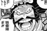 【ワンピース】ロジャーの懸賞金55億てなんか安ない？？？？？？？？？？？？