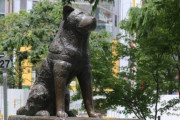 渋谷のハチ公『生誕100年』企画が始動！2023年に記念事業を展開するぞ