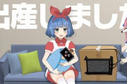人気Vtuberさん、結婚報告をすっ飛ばしていきなり「出産報告」をしてしまい、ファン発狂