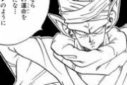 【ドラゴンボール】ピッコロって一体なにをしにナメック星まで行ったん？？？？？