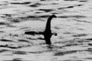 【未確認生物】ネス湖のネッシー 存在裏付ける有力証拠を発見か!? ハンター歴30年の専門家「カワウソではないと思う」