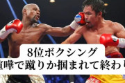「喧嘩最強格闘技」ランキングがこれらしい！！　ボクシングは最弱ｗｗｗｗ