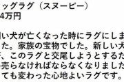 Twitter民「死んだイッヌをラグにしたけど新イッヌが交尾しようとするから売るわw」ﾊﾟｼｬｯ