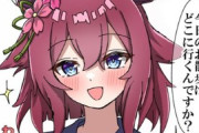【ウマ娘】この後本当に5時間くらい口聞いてくれなかったチヨちゃん