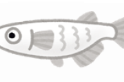 金魚やメダカ飼ってるおんj民おるか?