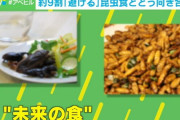 昆虫食が日本に着実に浸透し始めている事実