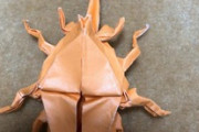 【力作】折り紙でカブトムシ作ったから絶対みて！（※画像あり）