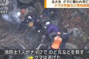 大千軒岳で死んでいたクマ、消防士のナイフが気管まで達し致命傷に…遺体の大学生との関係は胃の内容物で最終確認！