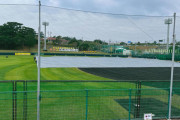 さすがの阪神園芸！超特大シートで水たまりなし　今キャンプ初の投内連係へ準備OK