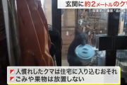 【宮城】「血の味覚えた」巨大クマ　体長2メートルが玄関先で「バケツくわえ」悠然と立ち去る