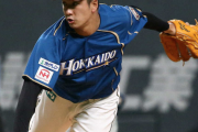 高校野球見てからプロ野球見ると思うこと