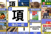 欅坂46武元唯衣、予想以上に賢い！？ 山ちゃんとヒロミさんから褒められる！【東大王】