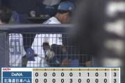 日本ハム、DeNAとのオープン戦初戦は引き分け...山崎福也2回完全！スティーブンソン躍動！