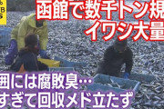 汚染処理水でイワシ大量死の報道、日本政府が英国大使館に「申し入れ」  [12/13]