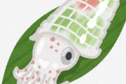 イカを刺身にしたったｗｗｗｗｗｗｗｗｗｗｗｗｗｗｗｗｗ