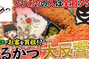 【悲報】YouTubeｒ「タダでとんかつ食べ放題の店があるぞ！」　バカ「うおおおお！」　お店「助けて！お金がない人のためなのに。。。」