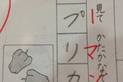 【悲報】子供「5+3=7」 母親「色に騙されないよう気をつけてね」