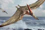プテラノドンって実在したら最強の生物じゃない？