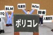 有識者「ポリコレやフェミニズムが炎上しやすい理由が“これ”です」←ぐうの音も出ないほどの正論だと話題に