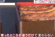 【画像】ウナギ、国産も外国産も変わらないことが判明ｗｗｗｗｗｗ