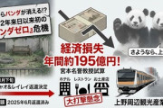 【速報】関西大学教授「日本からパンダがいなくなると経済効果195億円を失う」ショボい？すごい？