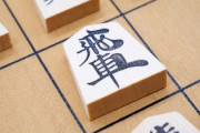 「プロ棋士」←すごいなあ　「シャドバのプロ」←そんなことしてないで就職しろ