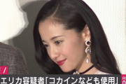 沢尻エリカ容疑者「これまでに大麻、LSD、コカインも使用」