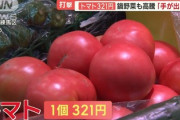 【驚愕】野菜、信じられないほど高いｗｗｗ
