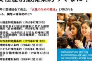 ネット民「国連は皇室に文句言うな！ローマ教皇も女はなれないぞー」 →日本が女性差別撤廃条約を批准してるから審査受けただけでした